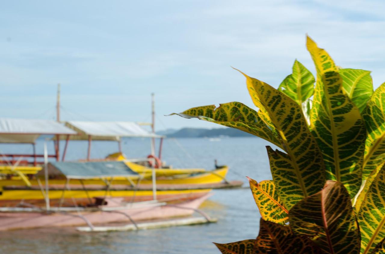 Concepcion Divers Lodge Busuanga Exterior foto